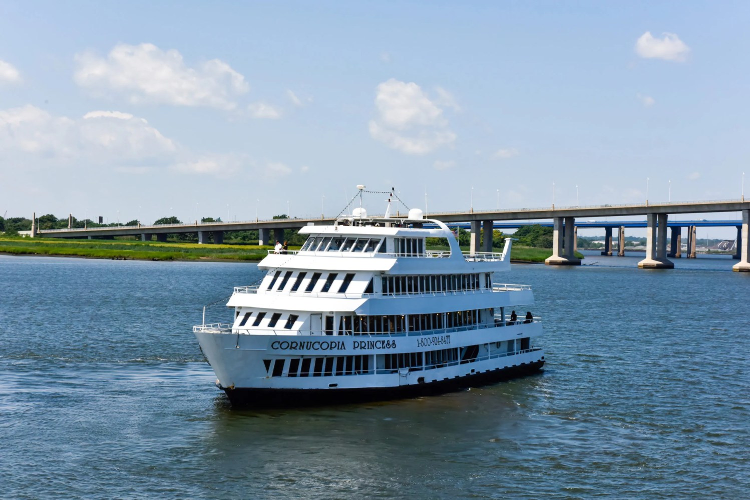 A large white multi-deck cruise ship named "Cornucopia Princess" sailing on a calm river with a bridge in the background. The sky is clear with a few clouds, and the ship appears to be heading toward the camera. The lush greenery of the riverbanks contrasts with the modern bridge and the ship's sleek design.